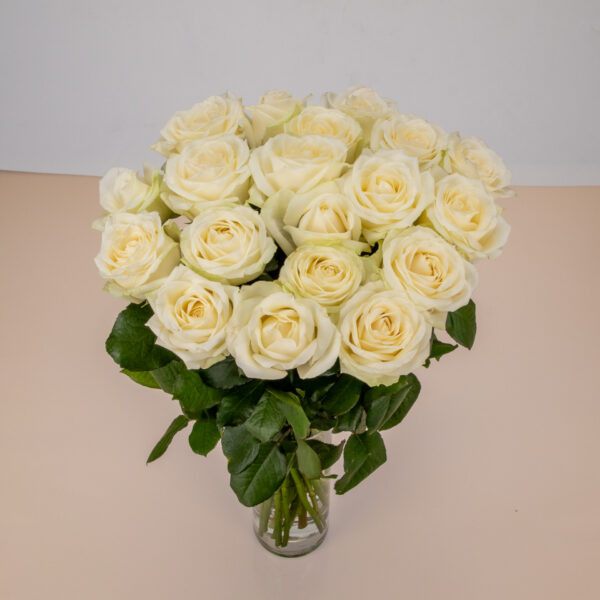 Roses Blanches – Image 3